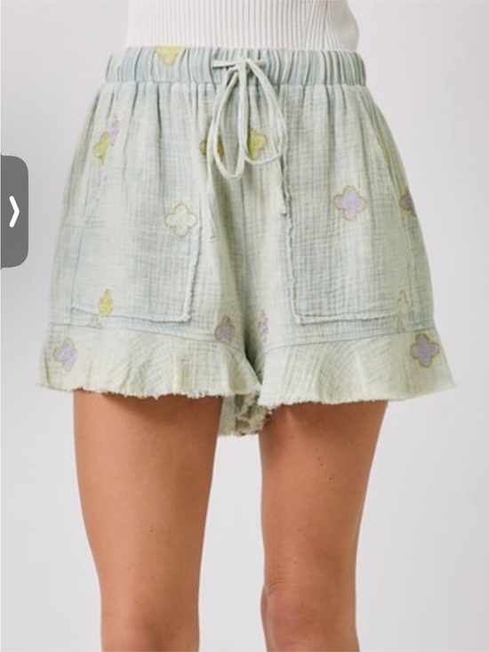 Pants - NWT ~ “The Ember” Washed Embroidery Shorts, Small